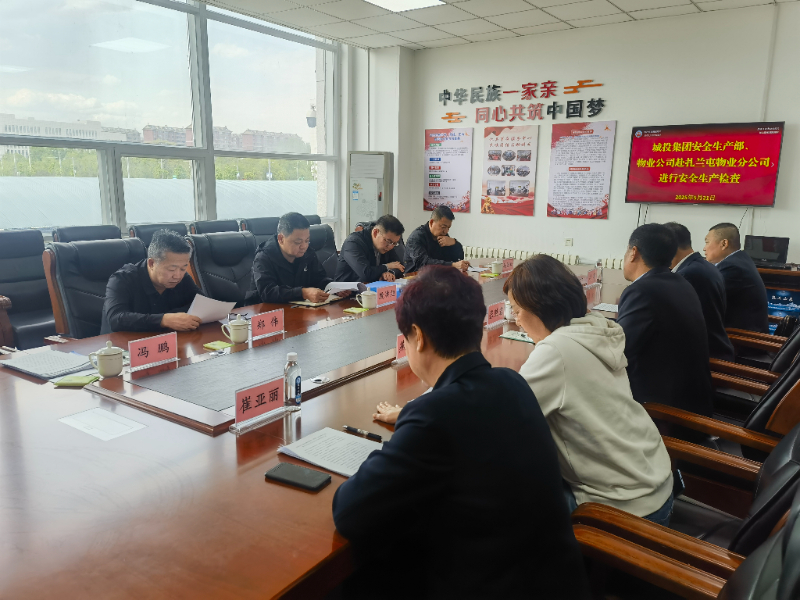 集团公司安全生产检查组深入一线.jpg