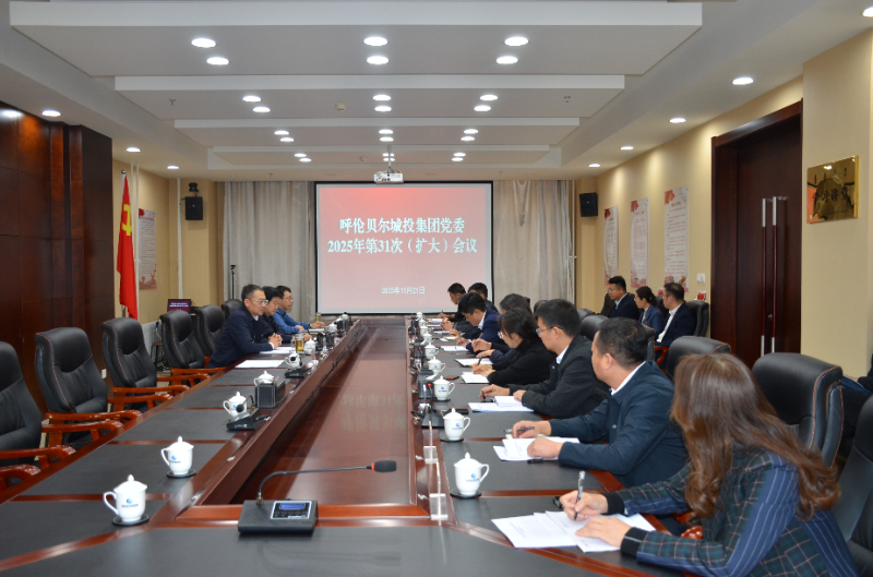 城投集团党委召开2025年第31次（扩大）会议